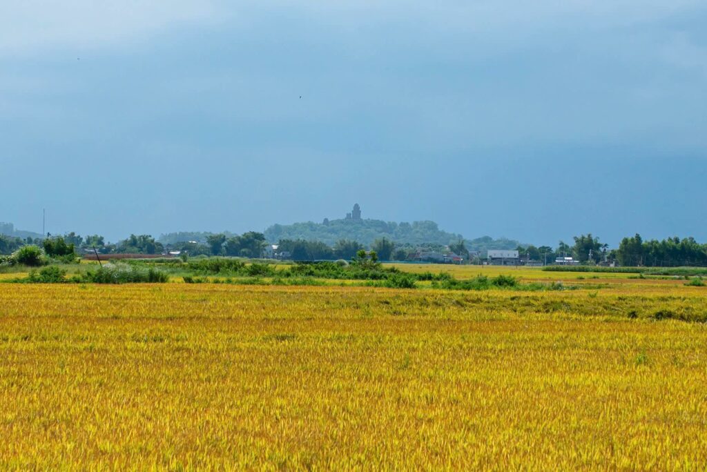 Banh it Towers