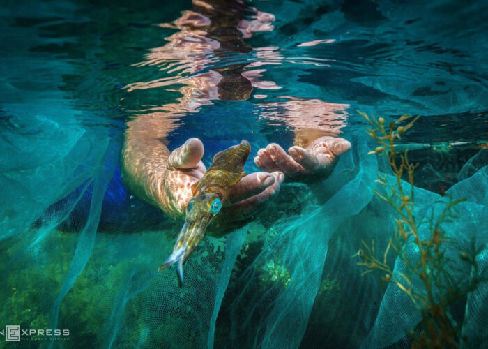 Touch into fish swimming