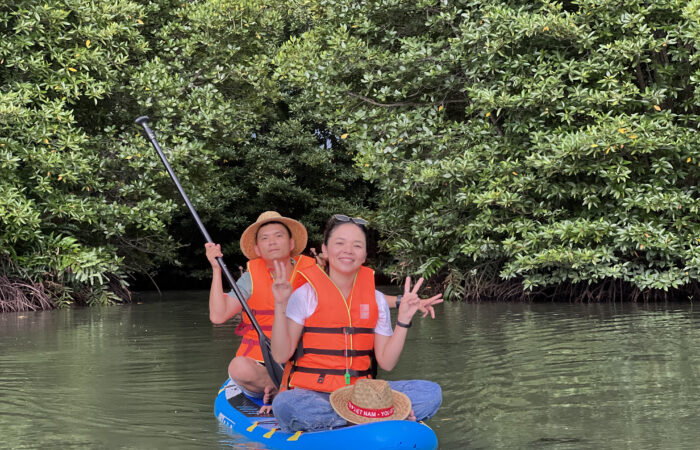 SUP paddle under mangrove
