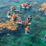 SUP sailing at Hon Kho