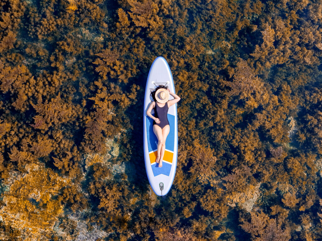 Seaweed season at Hon Kho