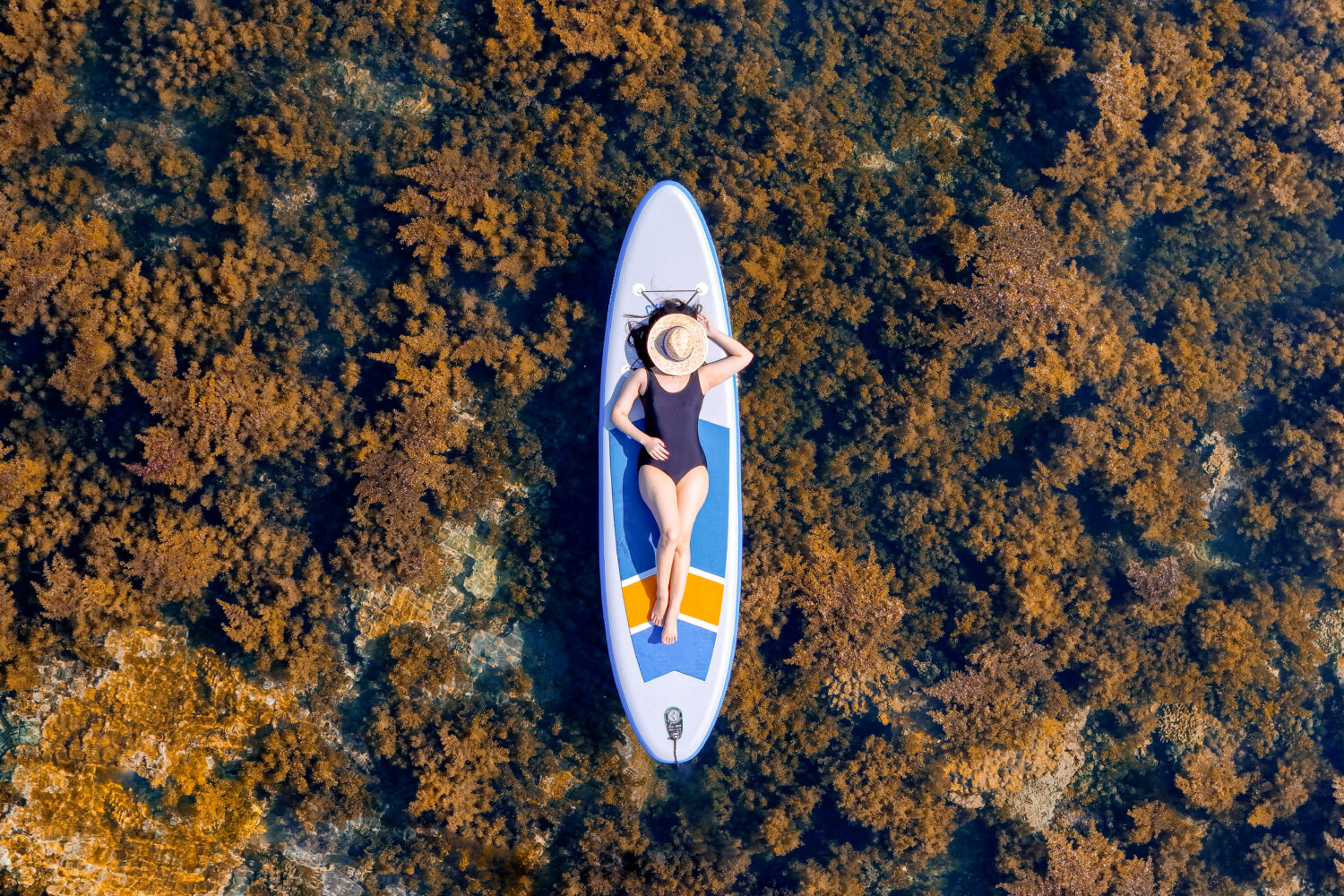Seaweed season at Hon Kho