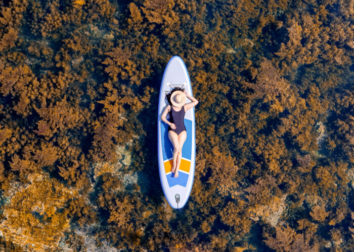 Seaweed season at Hon Kho