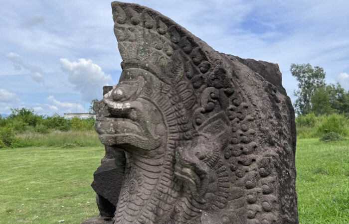Naga holy Snake in Hinduism