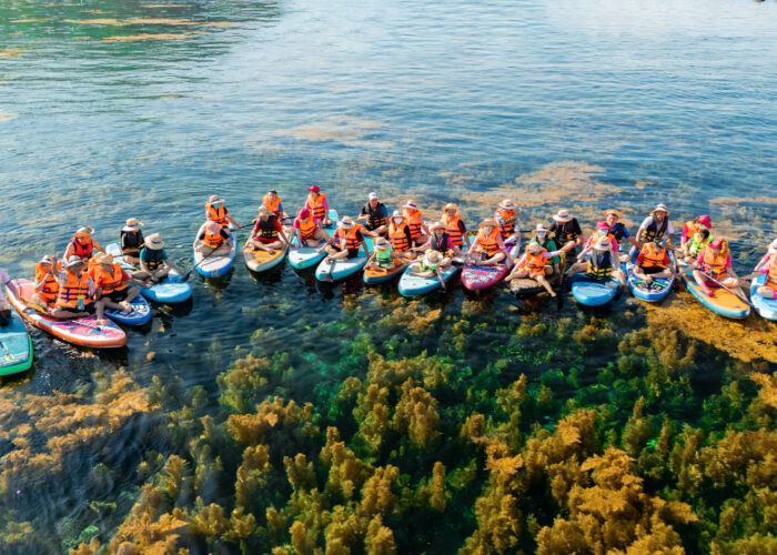Seaweed season at Hon Kho islet