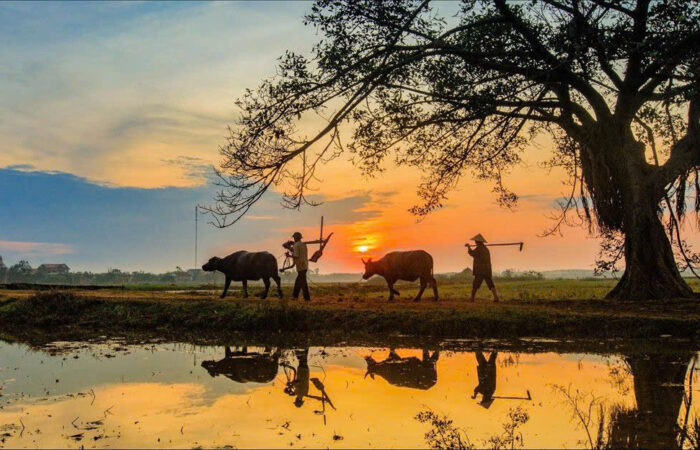 Private tour in Quy Nhon