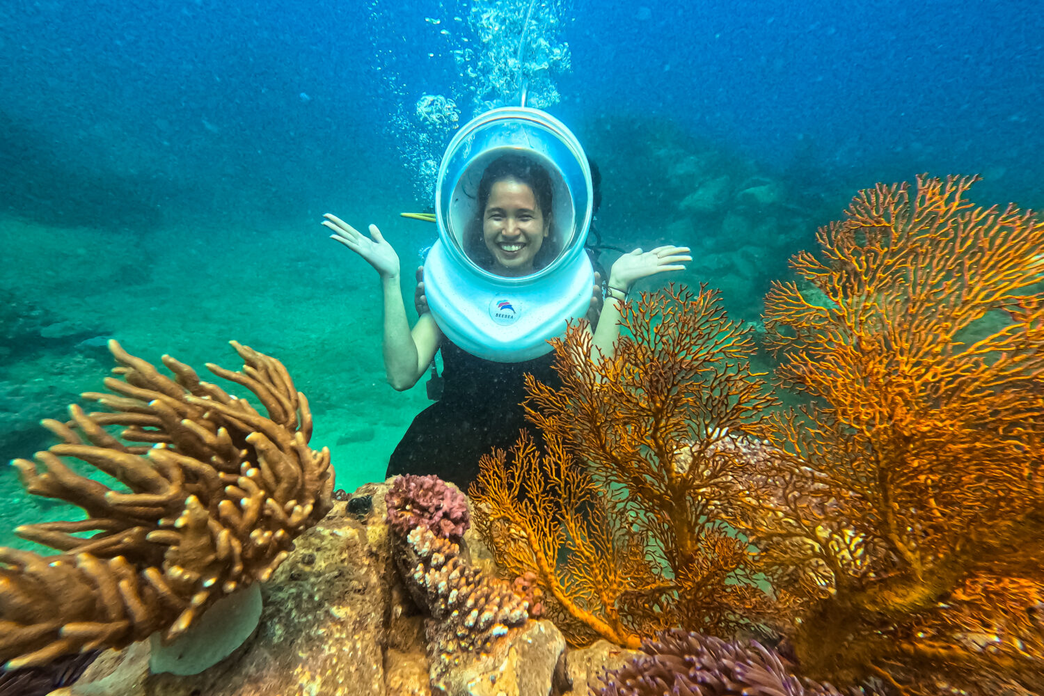 Bai Dua Scuba Diving Bai Dua Scuba Diving