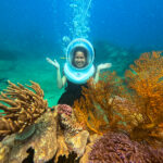 Bai Dua Scuba Diving