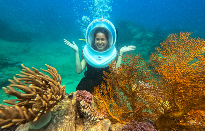 Bai Dua Scuba Diving