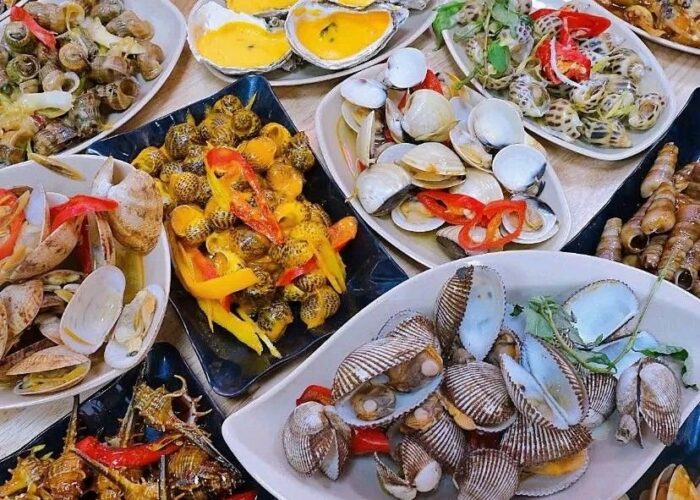Some oysters and Clams